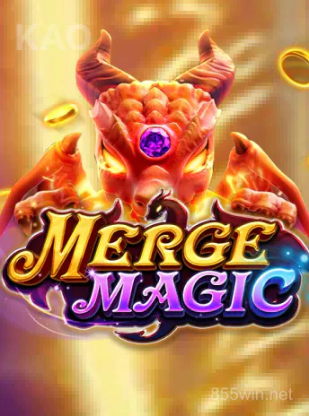 FACHAI MERGE MAGIC PORTRAIT